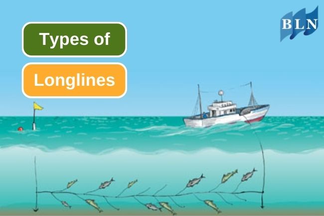 Get To Know 6 Different Types of Longlines for Fishing